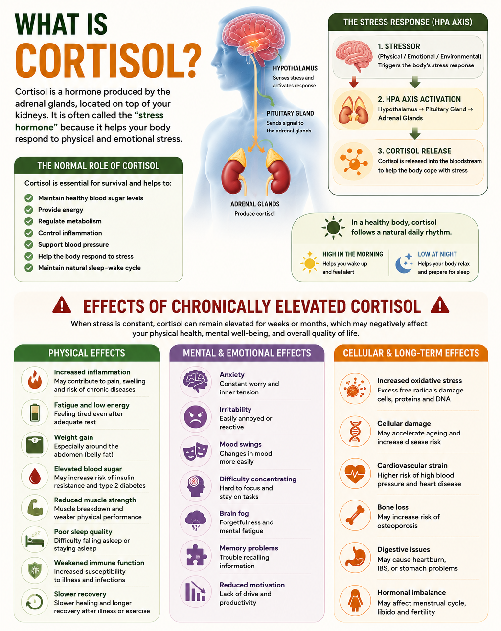 THE SMARTER WAY TO SUPPORT HEALTHY CORTISOL