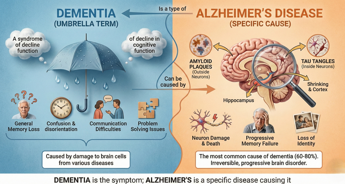 Understanding Dementia and Exploring Multi-Targeted Nutritional Support