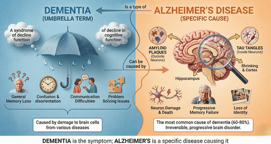 Understanding Dementia and Exploring Multi-Targeted Nutritional Support